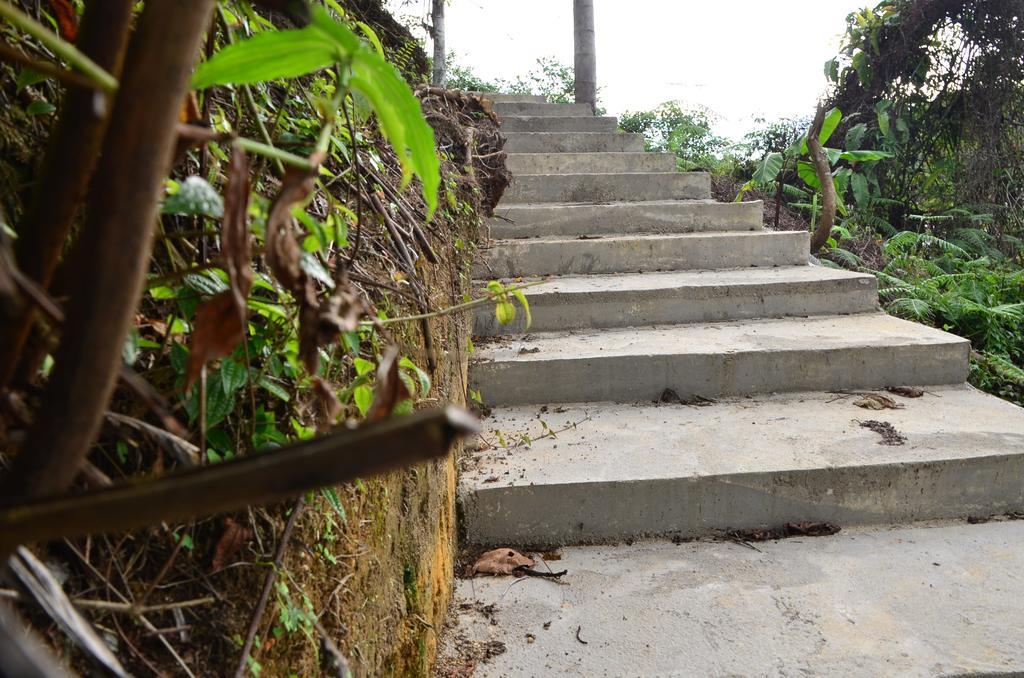 The Woodz Homestay Tanah Rata Εξωτερικό φωτογραφία