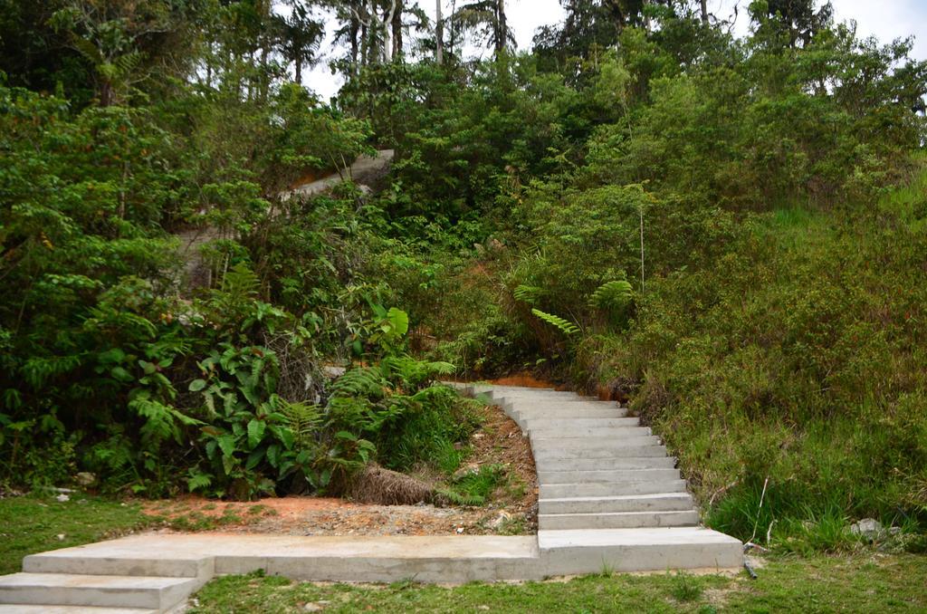 The Woodz Homestay Tanah Rata Εξωτερικό φωτογραφία